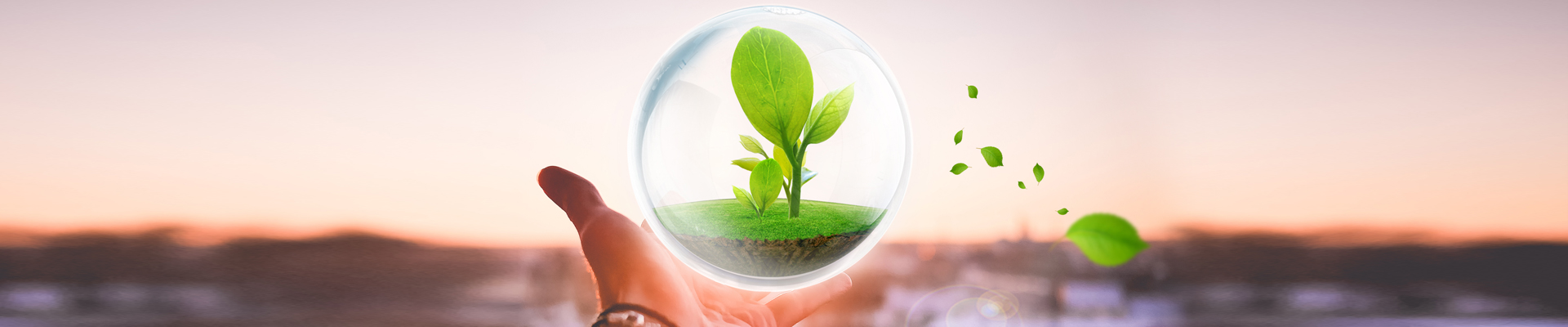 福建省龙岩市至诚环保有限公司