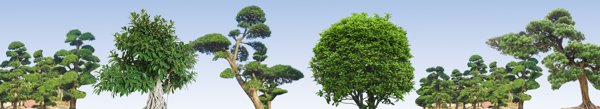 龙岩宇恒环保有限公司