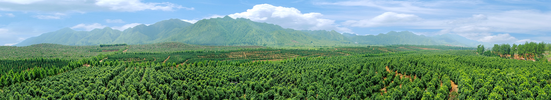 龙岩宇恒环保有限公司