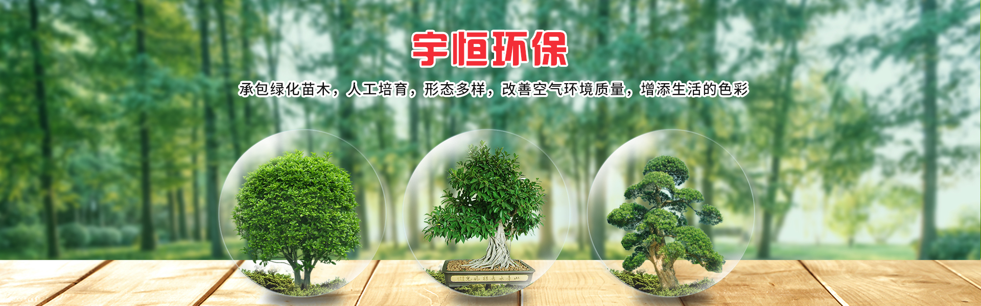 龙岩宇恒环保有限公司