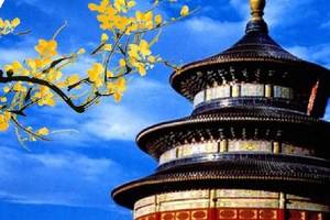 香山赏红叶四钻酒店纯玩