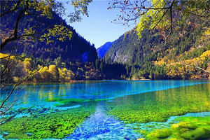 成都/都江堰/九寨沟/黄龙双飞六日游