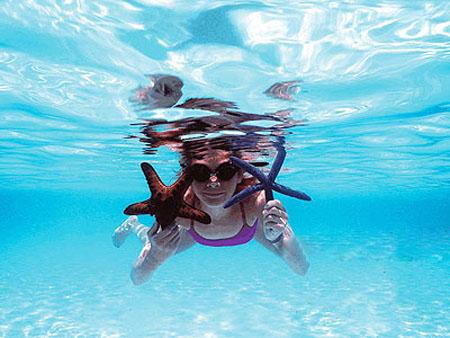 宿务+薄荷岛特惠六日游