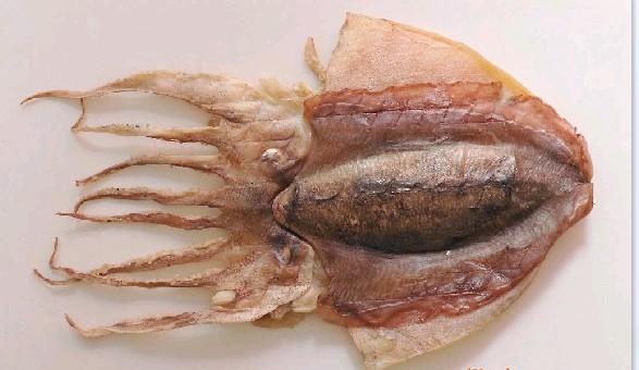 鱿鱼干