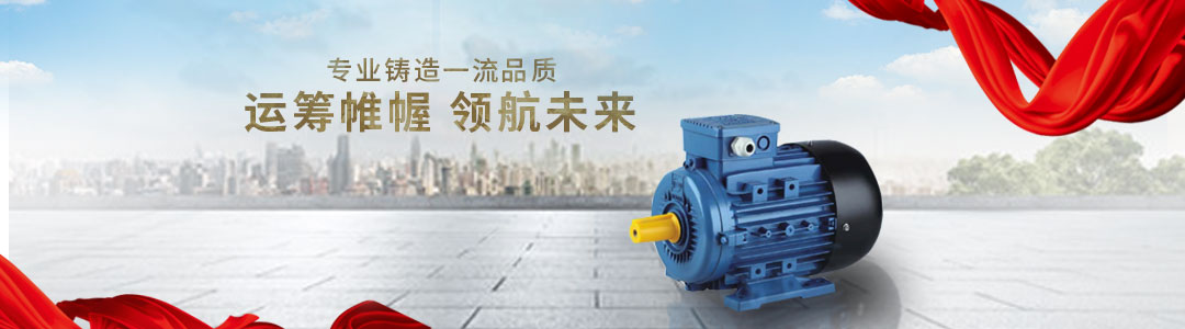 福建闽东电机股份有限公司