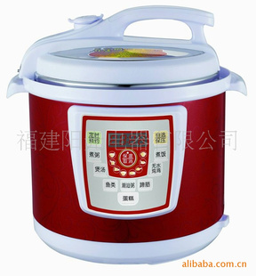 丝印兰花电压力锅