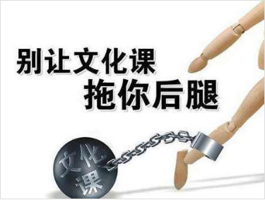 艺考文化课辅导