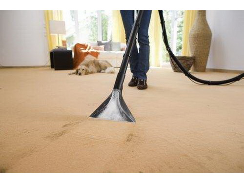 地毯清洗