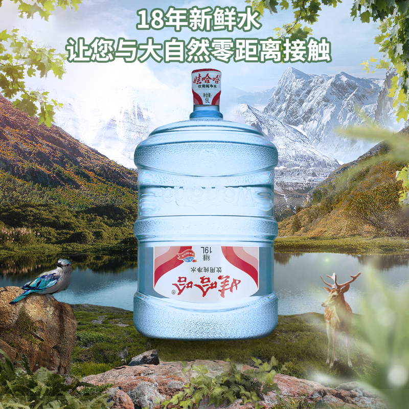 娃哈哈大桶装水纯净水