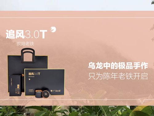 追风3.0T-碳焙铁观音