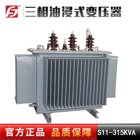 浙江供应 S11-315KVA 10/0.4KV 三相油浸式变压器 配电降压