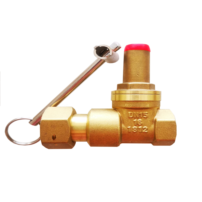 泉州带止回活接防盗铜闸阀