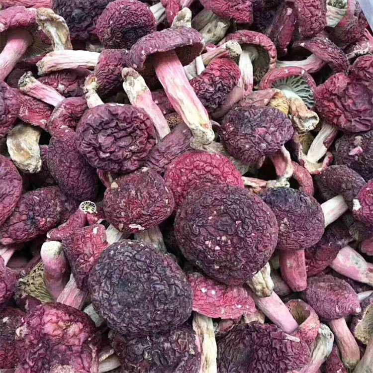 龙岩红菇