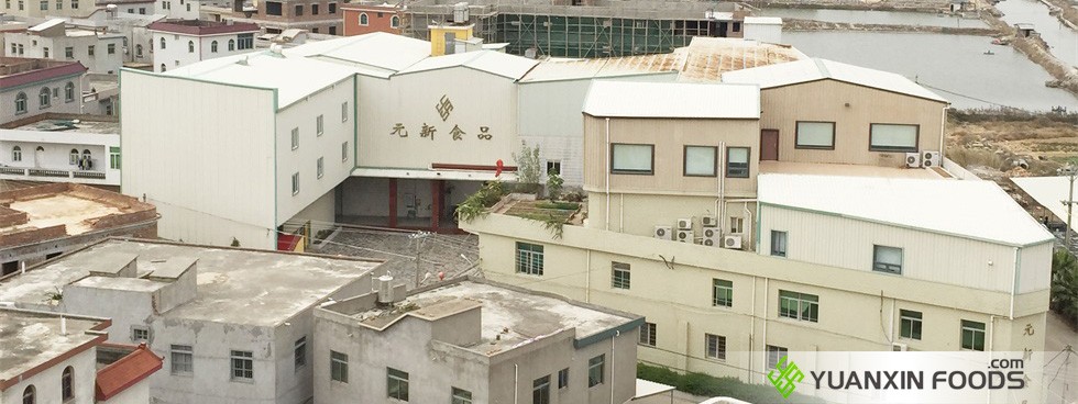 公司简介-漳州元新食品有限公司