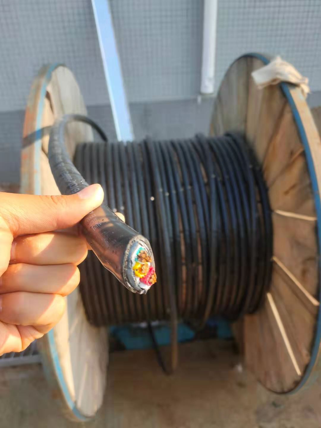 广东电力电缆回收