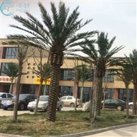 广东仿真树仿真园林