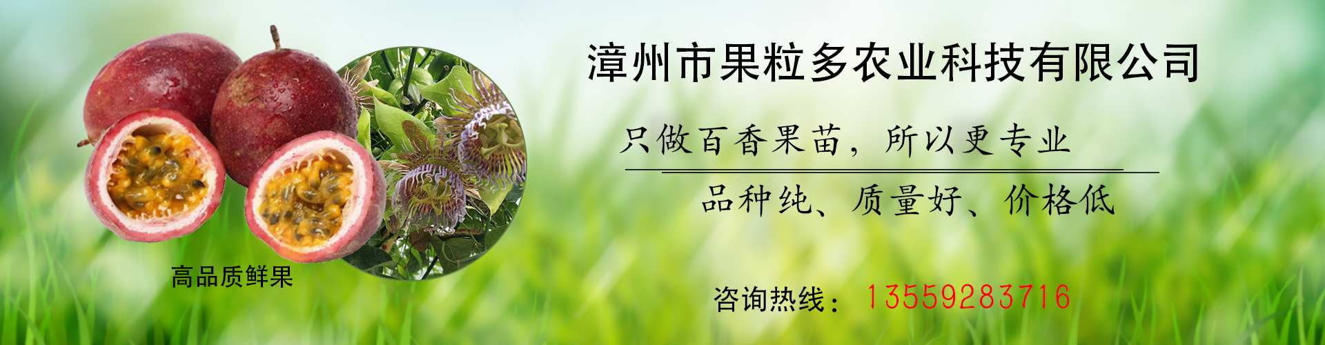 漳州市果粒多农业科技有限公司