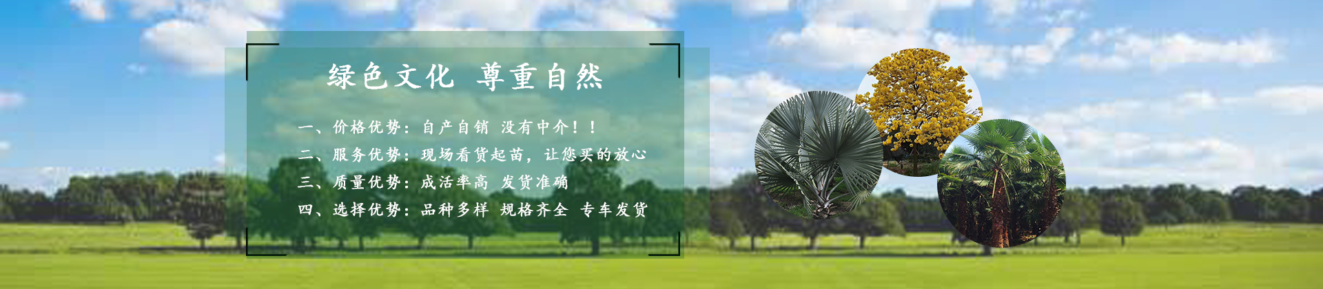 漳浦县马口恒景园艺场