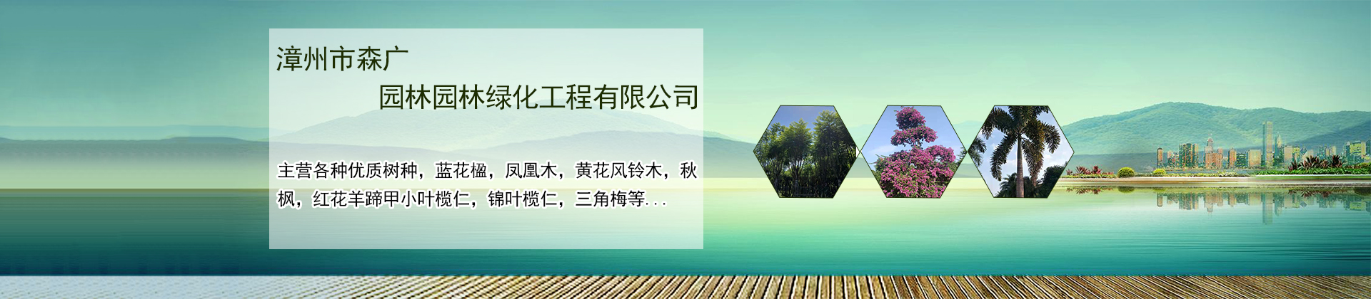 漳州市森广园林绿化工程有限公司