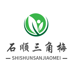 龙海市九湖石顺三角梅种植场