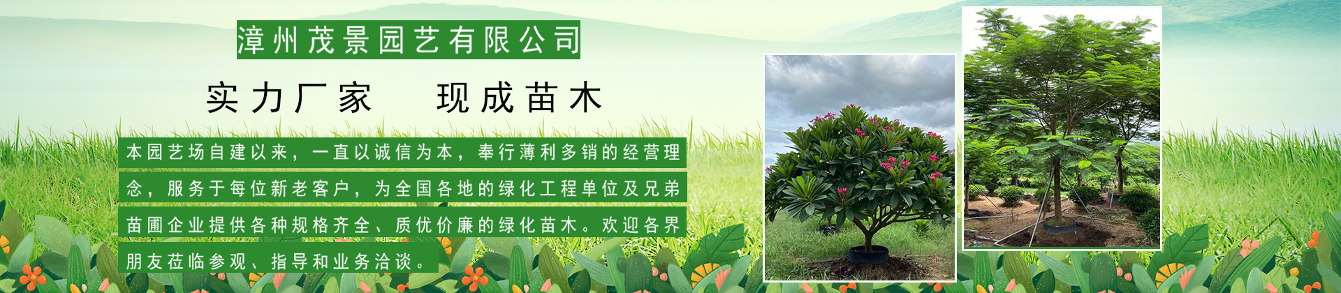 漳州茂景园艺有限公司