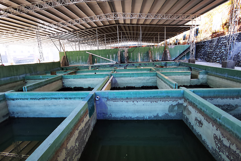 龙岩固体废物回收处理