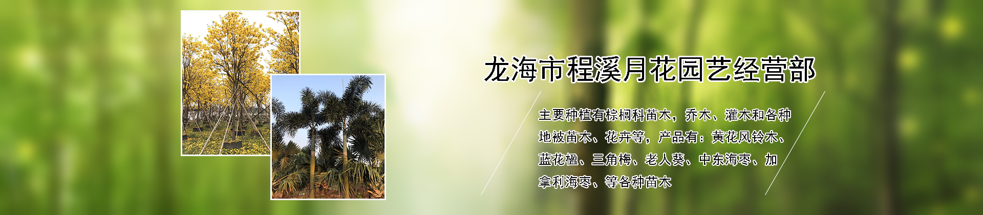 龙海市程溪月花园艺经营部