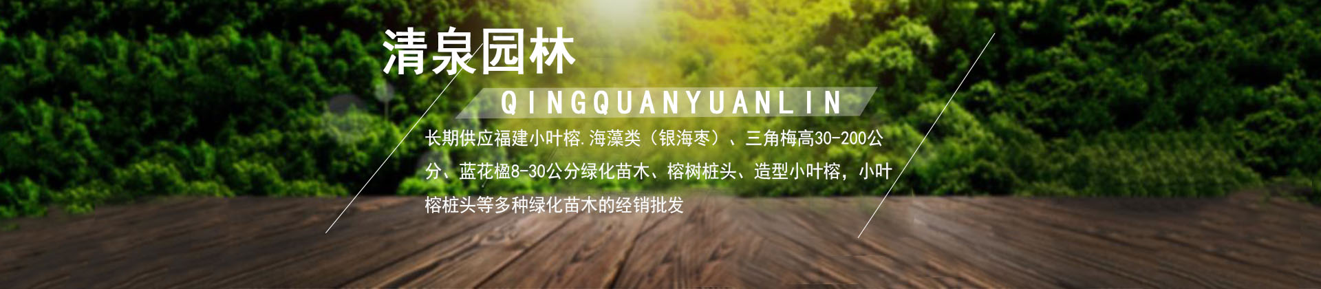 漳州市清泉园林有限公司