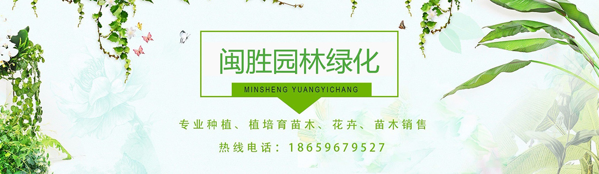 漳州市闽胜园林绿化工程有限公司