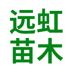 平和县远虹苗木专业合作社