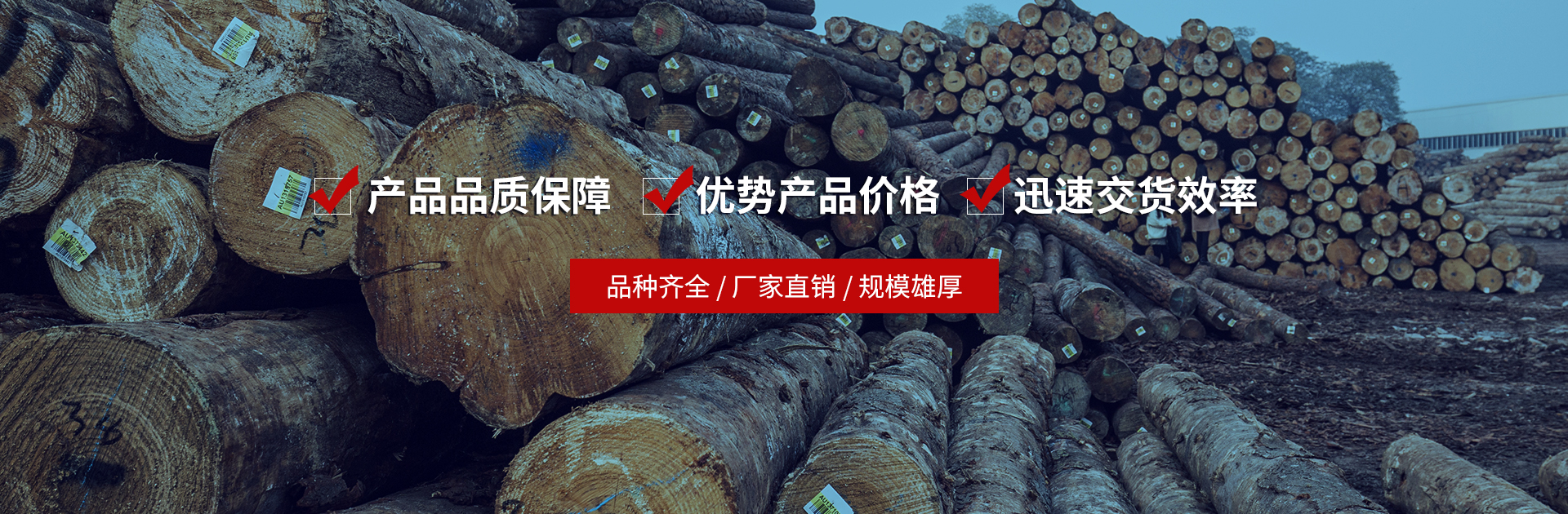 漳州市鑫森工贸有限公司