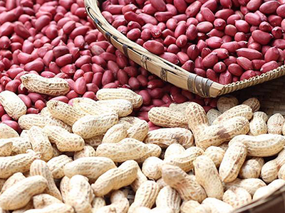 龙岩文亨红衣花生