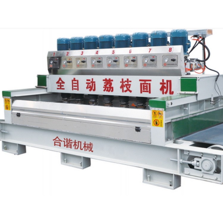 泉州全自动荔枝面机