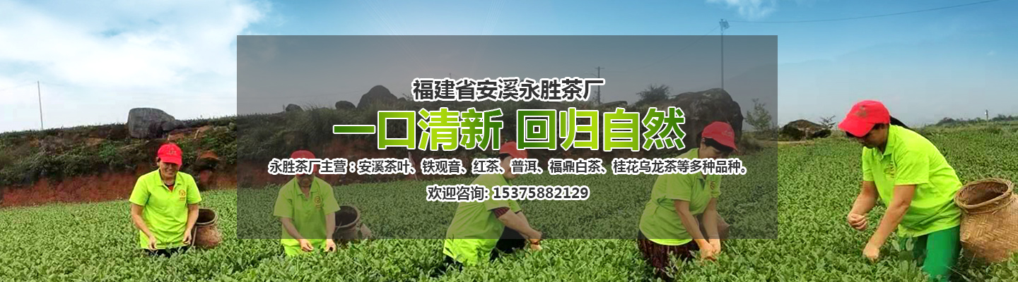 福建省安溪永胜茶厂