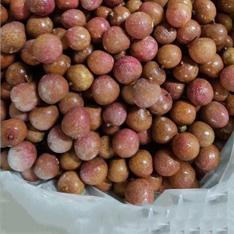 漳州冷冻荔枝（带壳）