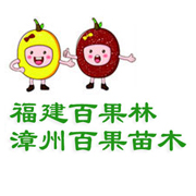 漳州百果苗木有限公司