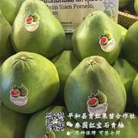 福建省平和县育红蜜柚种苗有限公司