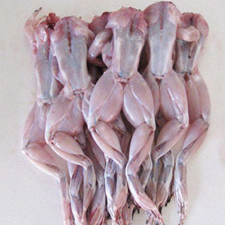 漳州云霄新鲜生冰冻冷冻速冻牛蛙