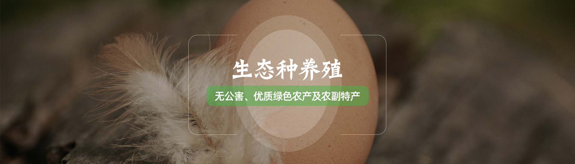 龙岩绿生农业有限公司