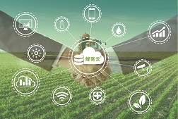 福建蜂窝物联网科技有限公司