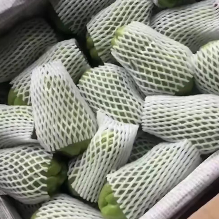 （南安生鲜蔬菜配送中心）佛手瓜