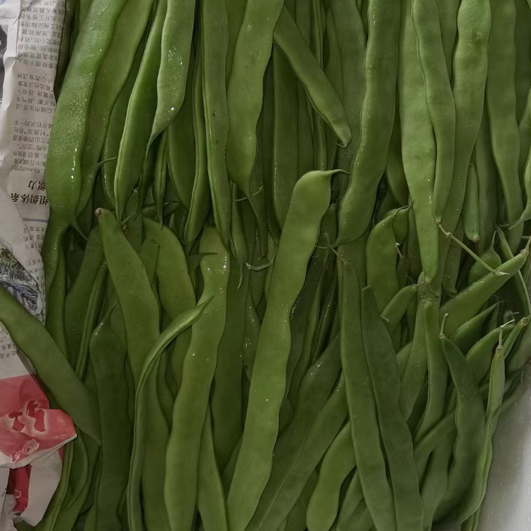 （泉州农副产品配送）油豆角