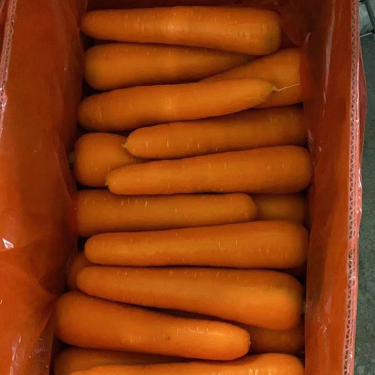 (南安送菜公司)胡萝卜