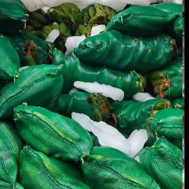 (泉州蔬菜配送)黄瓜