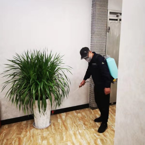 厦门消杀公司 苍蝇蚊子蟑螂老鼠专业消杀