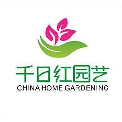 厦门千日红园艺有限公司