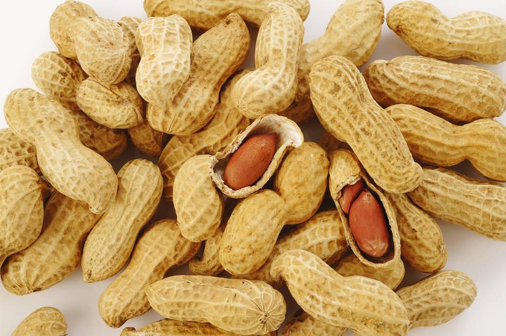 龙岩花生的概况，你知道吗？