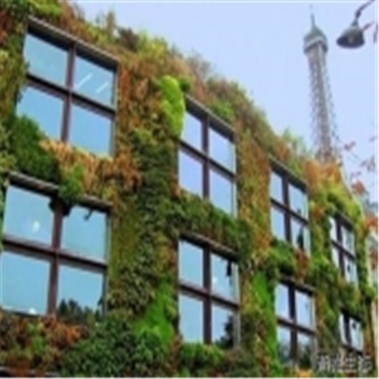 厦门城市立体绿化定制