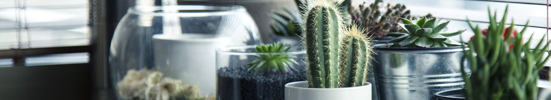 广州市华宁装饰设计有限公司长汀分公司 