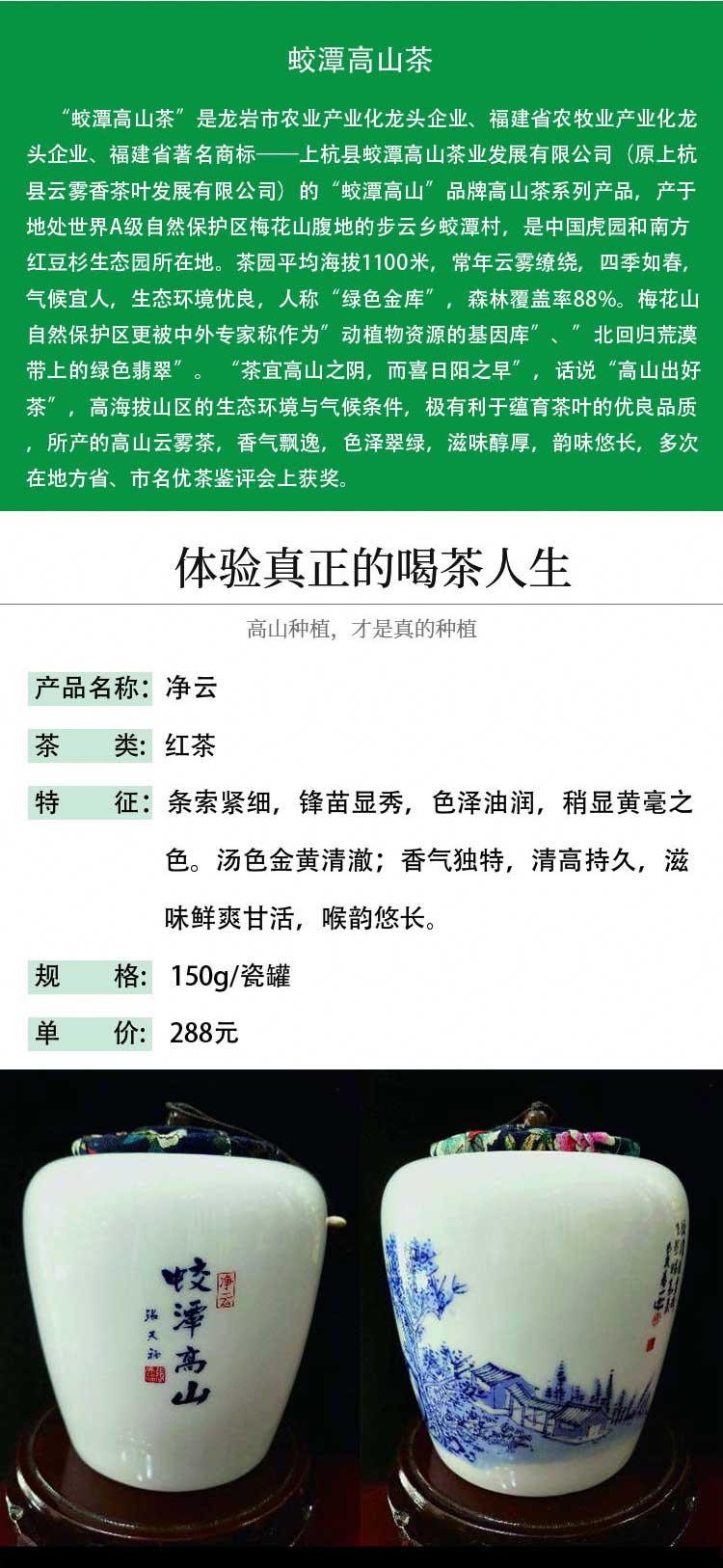 龙岩高山红茶净云